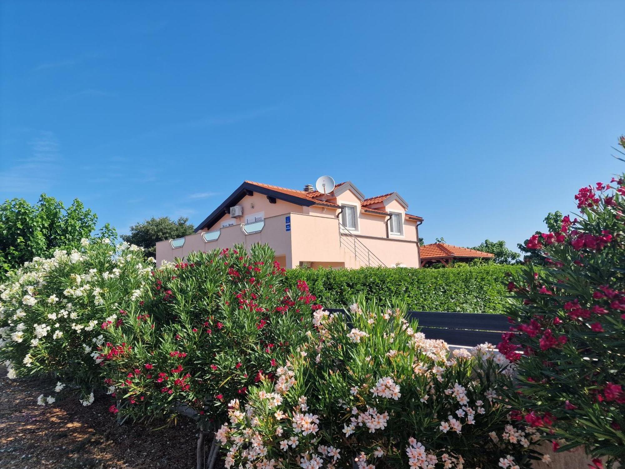Villa Verbena Mala Cista Bagian luar foto